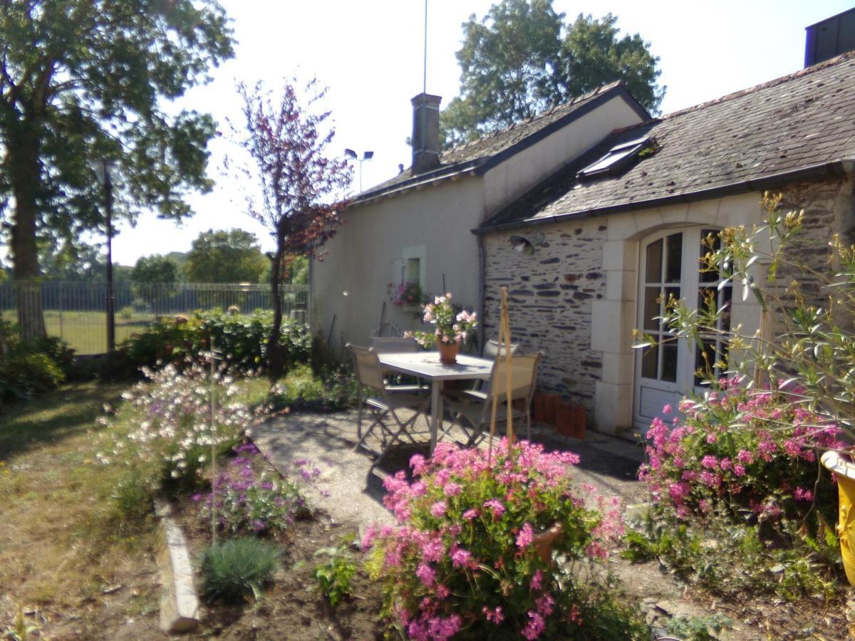 Gite De Bellerive Sainte-Gemme-sur-Loire Exterior foto
